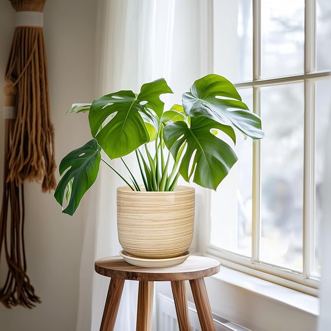 Ceramic Planter for Indoor Plants 7 Inch - Cylinder Modern Indoor Plant Pot with Drainage Hole and Saucer, Home Patio Office Bathroom Decor, Yellow