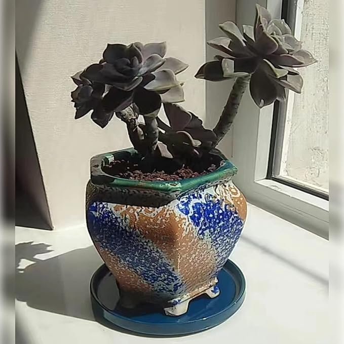 Ceramic Plant Saucer 5 Inch, 2 Pack Round Plant Saucers for Indoors/Outdoors, Flower Pot Saucers for Holding Water Drips and Soil, Ceramic Drainage Tray for Plant Pot (Blue)