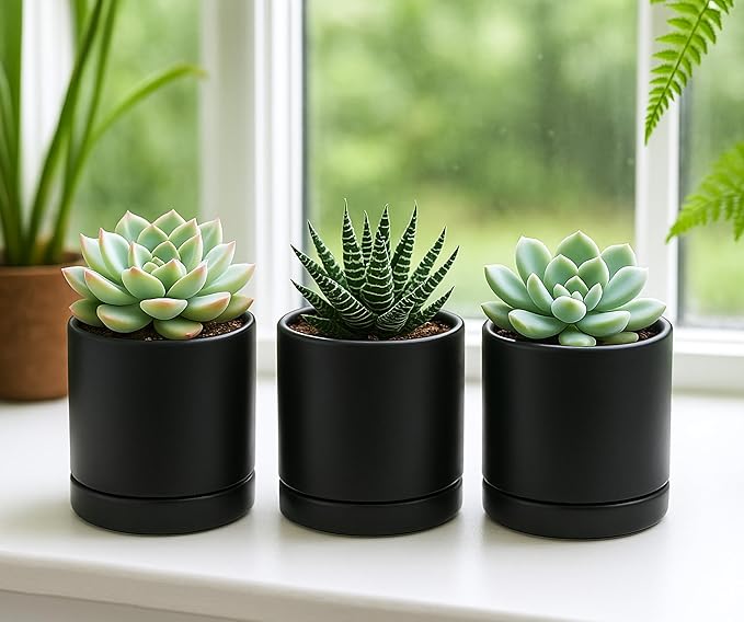 D'vine Dev Set of 3 Plants Pots, 3.5 Inch Ceramic Planter Pot for Plants with Drainage Hole and Saucer, Black, 94-N-A-2