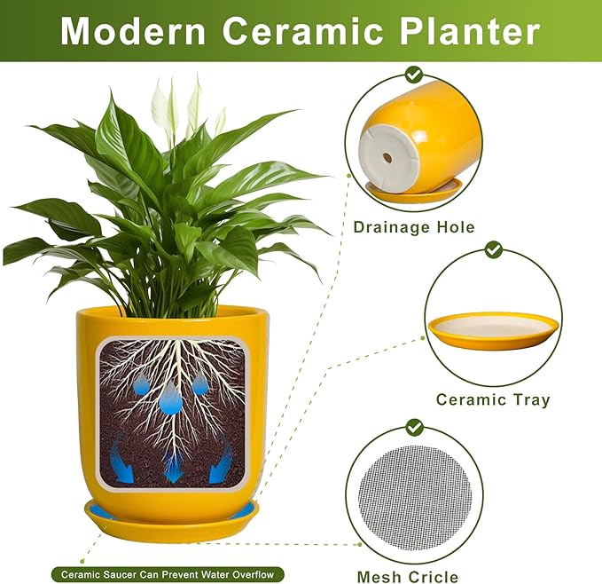 Plant Pot 8 Inch - Ceramic Plant Pot with Drainage Hole and Saucer Large Planter for Indoor Plants Outdoor Modern Flower Pot for Home Garden Decor Yellow