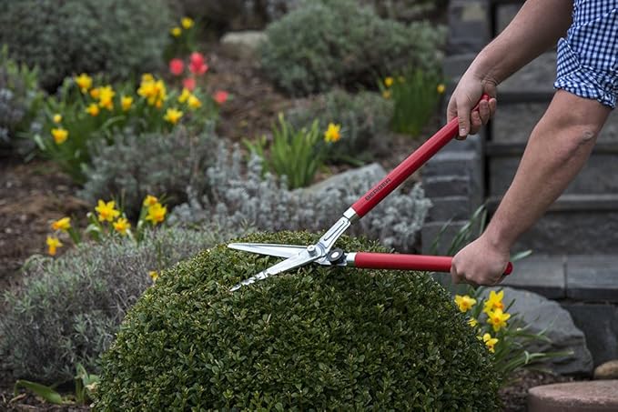 BERGER Professional Lightweight Topiary Hedge Shear, 6.3" Chromium-Plated Blades, Sap Groove to Prevent Sticking, Shock-Absorbing Buffer, Beech Wood Handles, 2520