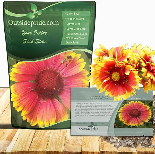 Outsidepride Gaillardia Aristata Red Blanket Flower Seeds for Planting - 1000 Pcs Perennial Wildflower Seeds, Drought-Tolerant for Xeriscaping, Borders, Pollinator Gardens, or Wildflower Mixes