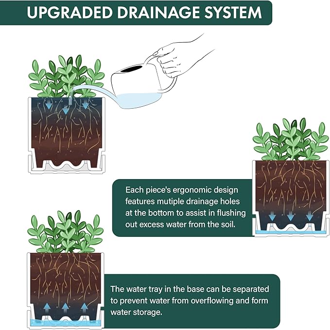 Phoenix Vine 6 Inch Planter Pot with Drainage Hole & Saucer, Deep Water Catch Tray, Straight Cylindrical Round Pot for Plants, Matte White, Pack of 2, 23-B-S-2