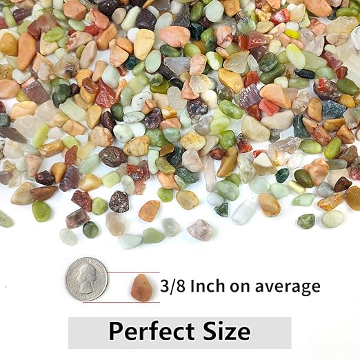 5LB Succulent and Cactus Colorful Pebbles, 3/8 Inch Pebbles for Indoor Plants, Natural Decorative Polished River Rocks for Vases, Planters and Outdoor Gardening
