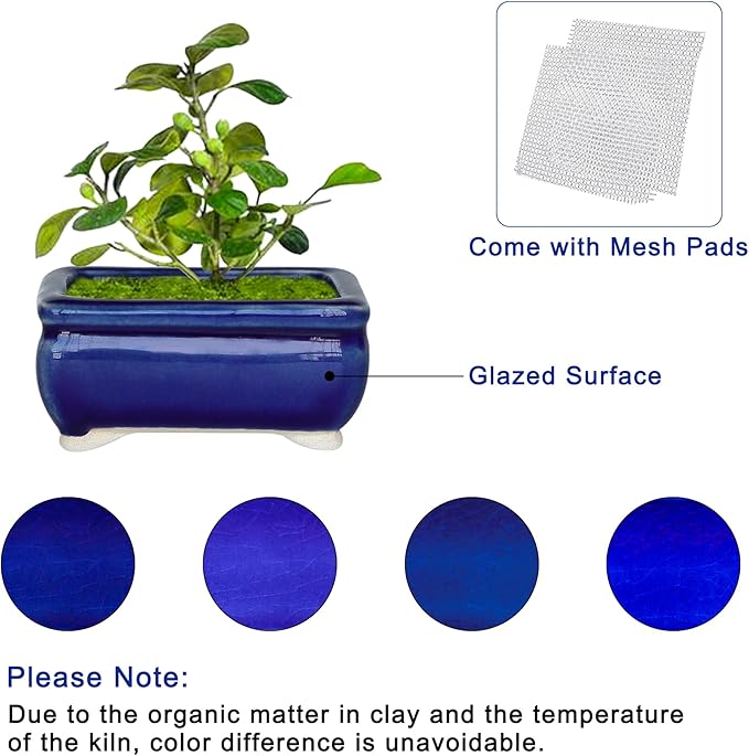 Bonsai Planter 6 pc Mini Glazed Succulent Pots Value Set + 6 Soft Mesh Drainage Screens