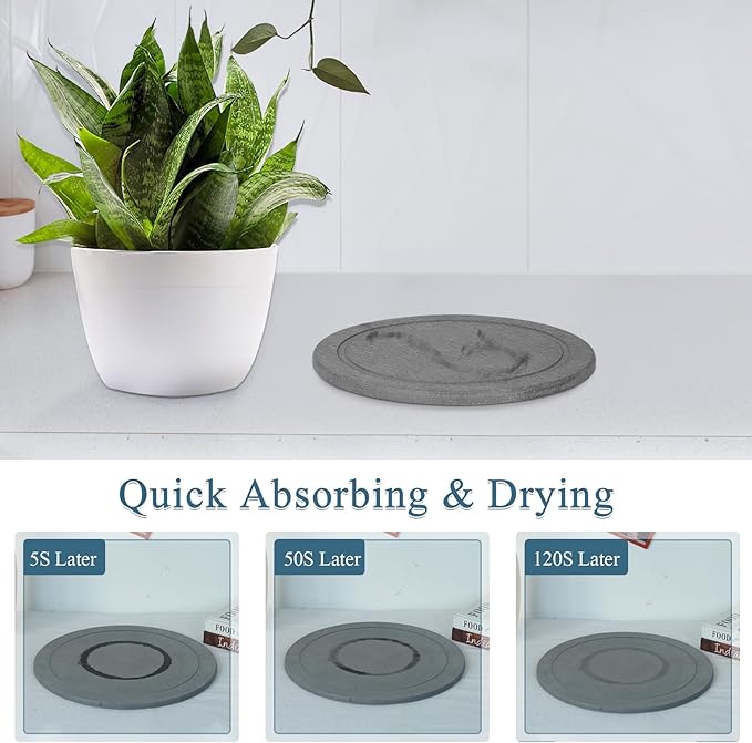 Plant Saucer Flower Pot Saucers Plant Trays for Pots Instant Dry Diatomaceous Earth Round Plant Drip Trays for Indoors Keeping Counter and Floors Dry and Clean (2Pcs Grey Large)
