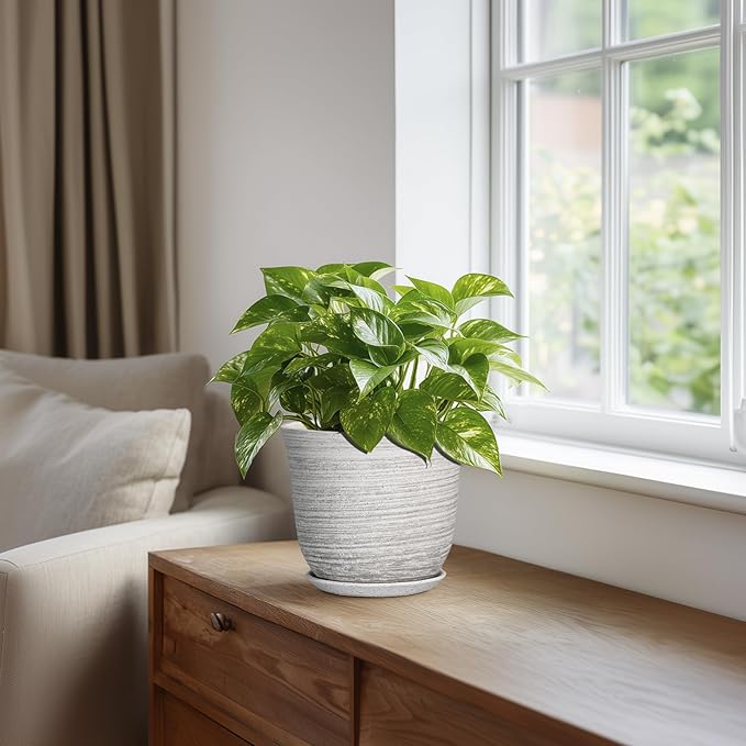 Ceramic Pots for Plants - 5.6 Inch Plant Pot with Drainage Hole and Tray, Round Succulents Pots for Indoor Outdoor, Decorative Planters, Home Room Office Decor, Gifts for Plant Lovers, Grey