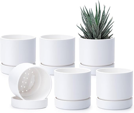 Phoenix Vine 4 Inch Planter Pot with Drainage Hole & Saucer, Deep Water Catch Tray, Straight Cylindrical Round Pot for Plants, Matte White, Pack of 6, 23-B-R-6