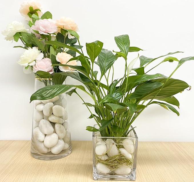 5 lbs Large White River Rocks, 2-3 inch Pebbles for Indoor Plants, Polished Decorative Stones for Planters Vase Aquarium and Outdoor Garden Landscaping Rocks