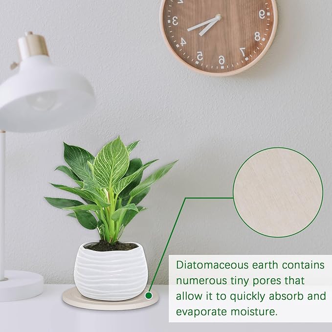 Plant Saucer Flower Pot Saucers Plant Trays for Pots Instant Dry Diatomaceous Earth Round Plant Drip Trays for Indoors Keeping Counter and Floors Dry and Clean (2Pcs White Small)