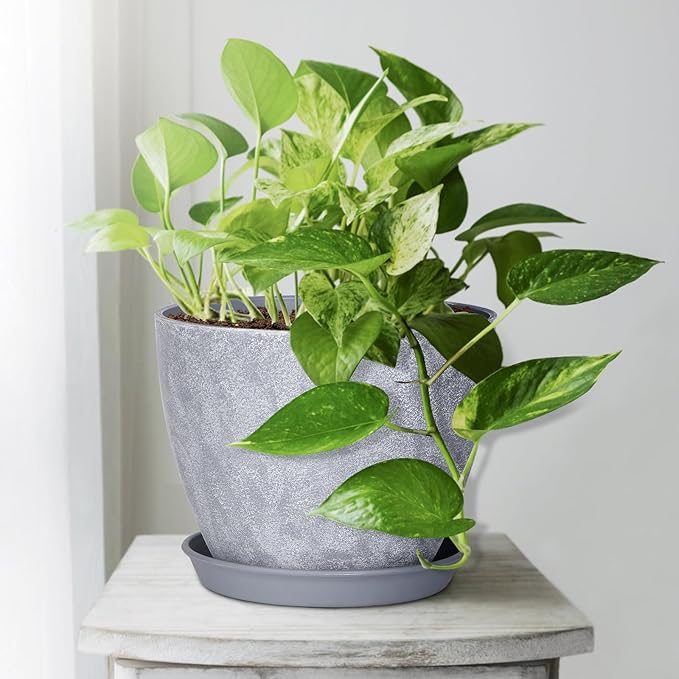 Set of 8 Plastic Planter, 10/9/8/7.5/6.5/5.7/5/4inch Plastic Planter, Flower Pot Indoor Decorative Large Plant Pot, Plant Pots Indoor with Drainage and Saucer for All House Plants (Set of 8)