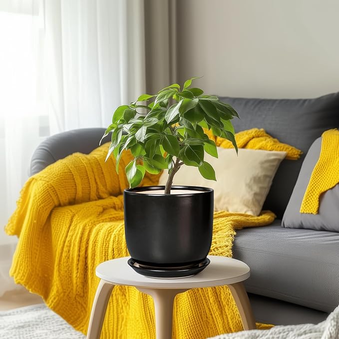 Ceramic Flower Pot 8 Inch - Modern Round Planter for Indoor Outdoor Plants with Drainage Hole and Saucer, Home House Room Office Patio Decor, Black