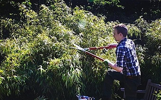 Berger vine leave shear 4440 with self-sharpening blades, hedge shear with damper, length 80 cm