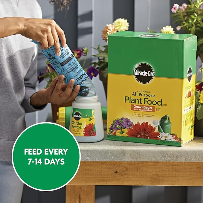 Miracle-Gro Water Soluble All Purpose Plant Food, Plant Fertilizer for Indoor or Outdoor Plants, Roses, Flowers, Houseplants, Vegetables and Trees, 10 lb.