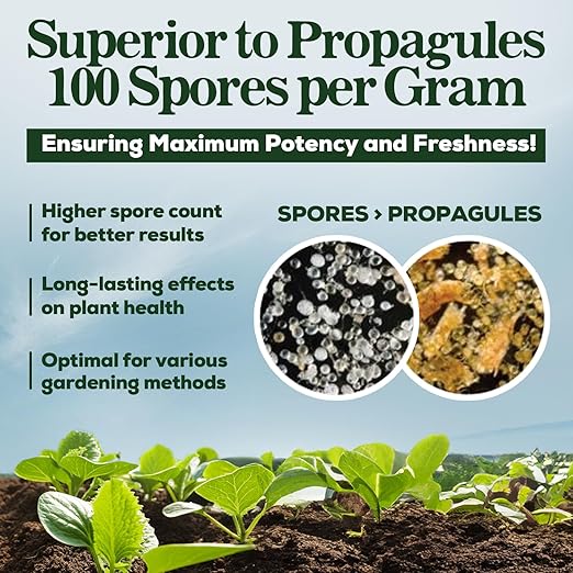 Mycorrhizal Fungi Organic Root Enhancer for Plants, Super Potent 100 Spores Pe, 5-Strain Bler Gramnd, Ra Respidults for Gardens, Houseplants, Lawns, Mycorrhizae Smart Grower 125 Grams for 125 Plants