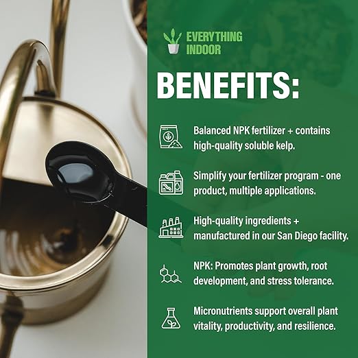 Humboldts Secret Everything Indoor Plant Food with Kelp | Liquid Concentrate Indoor Plant Fertilizer 3-3-3 All Purpose Plant Food for House Plants (32 Ounce)…