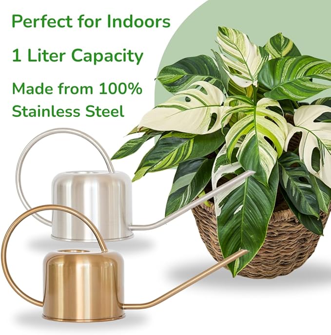 Stainless Steel Watering Can for Houseplants by Houseplant Resource Center | 1L Capacity for Indoor/Outdoor Plants in Brushed Silver
