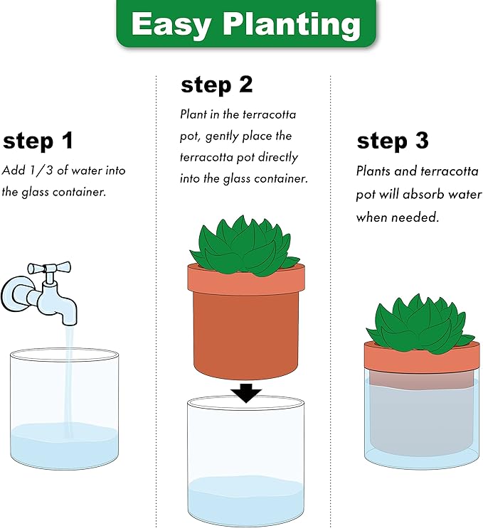 Phoenix Vine 4 Inch Self Watering Planter Pot, Terracotta Clay Pot with Glass Reservoir for Indoor Plants, Herbs, Flowers, Set of 2, 52-A-E-2