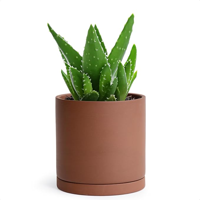 D'vine Dev 5 Inch Rust Terracotta Plant Pot with Drainage Hole and Saucer, Round Cylinder Planter Pot for Indoor Plants, 40-V-B-3