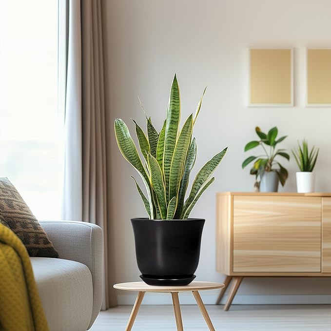 8 Inch Plant Pot - Ceramic Pots for Plants with Drainage Hole and Saucer, Round Planter for Indoor Outdoor, Modern Flower Pot, Gifts for Plant Lovers, Home Room Garden Porch Decor, Black