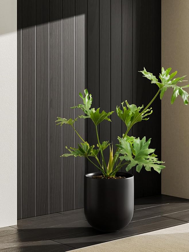 LE TAUCI 10 Inch Plant Pot, Ceramic Pots for Plants with Drainage Hole and Rubber Plug, Plant Pots Indoor for Olive Tree, Cylinder Planter Pot for Home Patio Office, Black