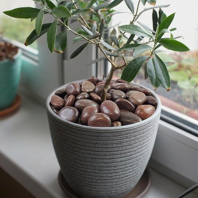 40 lbs Red River Rocks for Landscaping, 1-2 Inch Polished Pebbles for Indoor Plants, Decorative Rocks Stones for Vases, Aquariums, Fountains, Pathways, Backyard and Garden