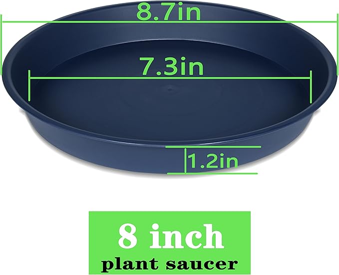 6 Pack of 8 inch Plant Saucer Blue, Plastic Plant Water Tray 8 inch Round, Flower Plant Saucers for Indoors, Dlant Dishes Saucer for Planter 7"/8" (8", Blue)