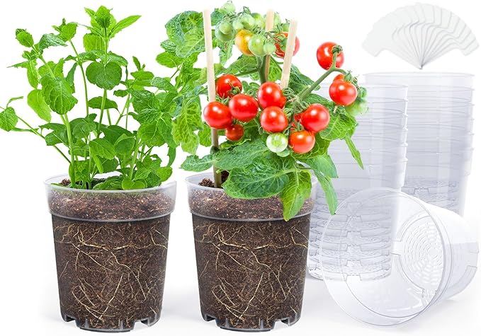 homenote Clear Nursery Pots for Plants,6.7 Inch Plant Pot for Planting Plastic Seedling with Drainage Holes Seed Starter Flower High Transparency with 20 Labels (15 Pack)