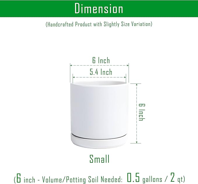 D'vine Dev 6 Inch Ceramic Planter Pot with Drainage Hole and Saucer, Indoor Cylinder Round Flower Pot, White, 94-O-C-1