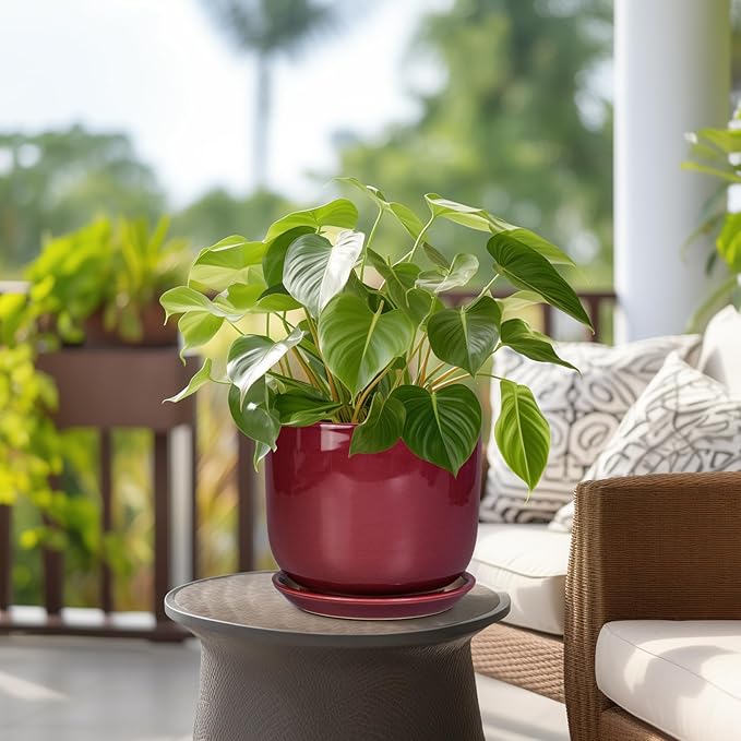 Ceramic Flower Pot for Plants - Cylinder Modern 8 Inch Plant Pot Indoor with Drainage Hole and Saucer, Home Office Room Porch Decor, Red