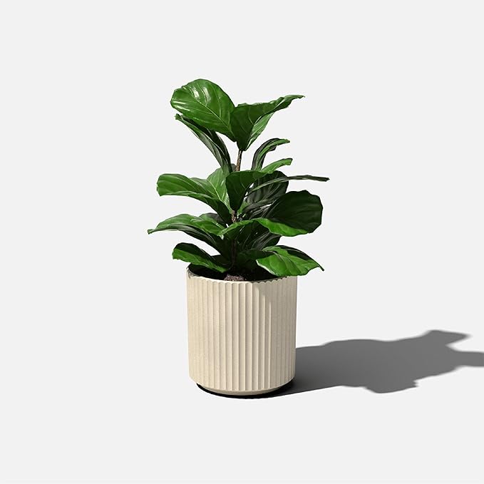 Veradek Demi Series Round Planter for Porch, Patio, Backyard | Durable Plastic-Concrete Material | Modern Décor for Tall Plants, Flowers