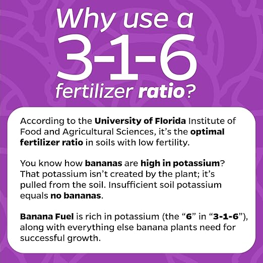 Wellspring Gardens Banana Fuel Liquid Fertilizer - Plant Fertilizer Concentrate - Plant Food - Formula for Banana Trees & Plants - Grow Healthy and Happy Plants - 32 fl oz