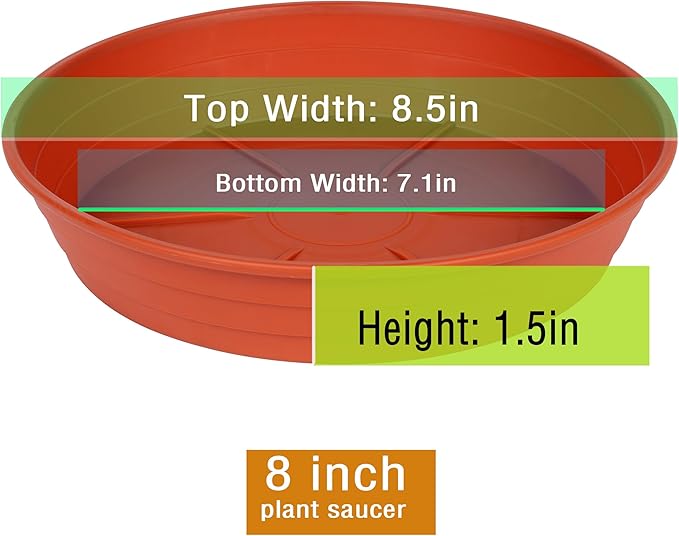 Plant Saucer 8 Inch 4 Pack 6 8 10 12 14 16 18 20 25, Plastic Plant Trays for Pots，Extra-Deep Plant Water Dray Tray, Bird Bath Bowl, Heavy Flower Plant saucers Indoors and Outdoor No Holes 8in-4 red