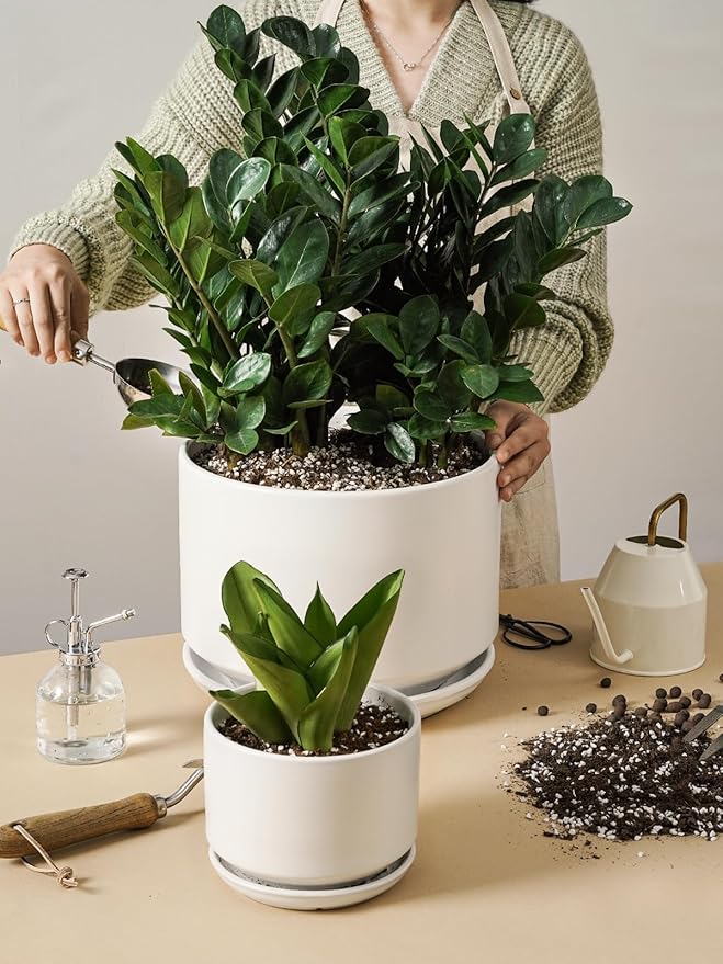 LE TAUCI Ceramic Pots for Plants, Set of 2, 10 + 12 Inch Plant Pot, Durable & Stylish Planters for Indoor Plants with Drainage Hole and Saucer, Elevate Your Home’s Aesthetic, White