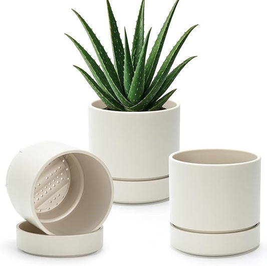 Phoenix Vine 6 Inch Planter Pot with Drainage Hole & Saucer, Deep Water Catch Tray, Straight Cylindrical Round Pot for Plants, Oatmeal, Pack of 3, 23-E-S-3