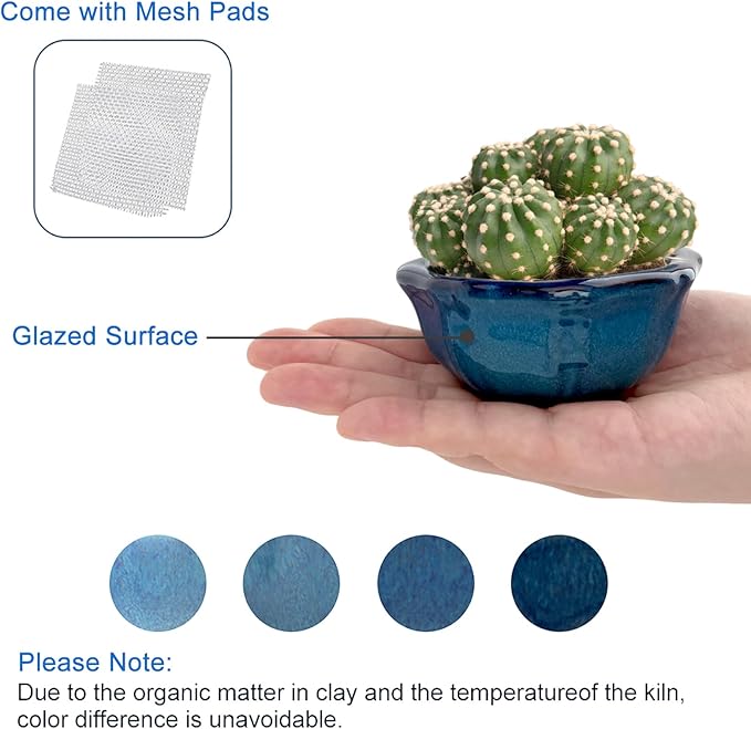 Bonsai Planter Succulent 6 pc Mini Glazed Pots Value Set + 6 Soft Mesh Drainage Screens