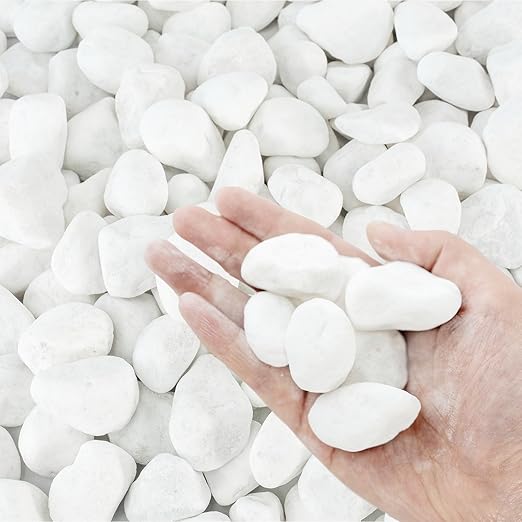White Rocks for Plants, 1-2 Inch Pebbles for Indoor Plants, 10 lbs River Rocks Decorative White Stones, Ideal for Fish Tank, Vases, Crafting, Home Decor and Garden Landscaping Rocks
