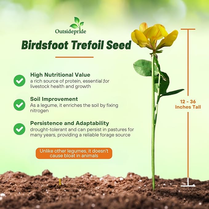 Outsidepride Perennial Birdsfoot Trefoil Seed - 5 lbs Nitrocoated, Inoculated, Winter Hardy, High Protein Forage Legume Seeds for Pasture, Hay, Silage Production & Livestock Grazing