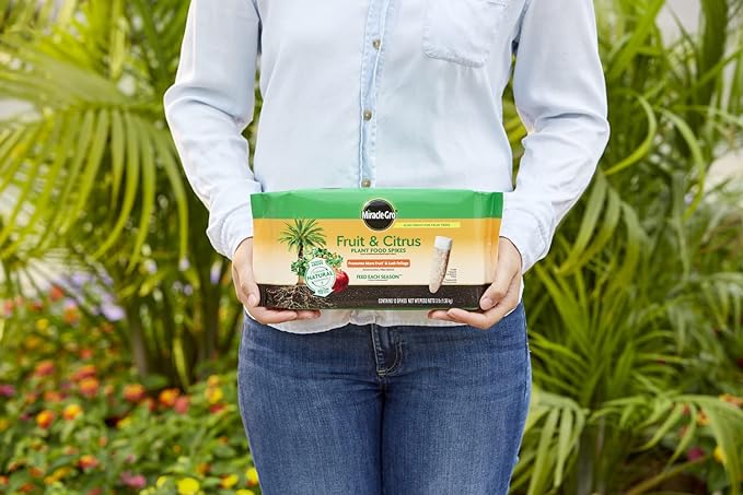 Miracle-Gro Fruit & Citrus Plant Food Spikes, 12 Spikes (2-Pack)
