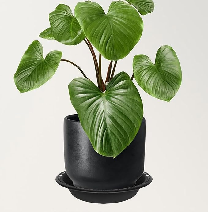 2 Pack of Extra Deep Plant Saucer Tray 12 inch, Heavy Duty Plastic Pot Plant Drip Trays Saucers for Indoors Outdoor, Black