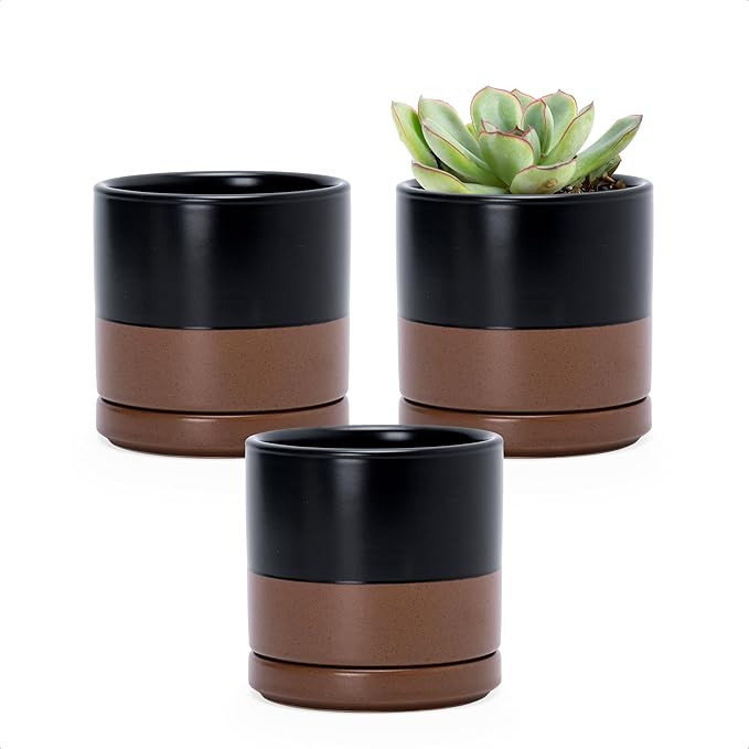 D'vine Dev Set of 3 Plants Pots, 3.5 Inch Ceramic Planter Pot for Plants with Drainage Hole and Saucer, Black/Speckled Tan, 94-N-A-7