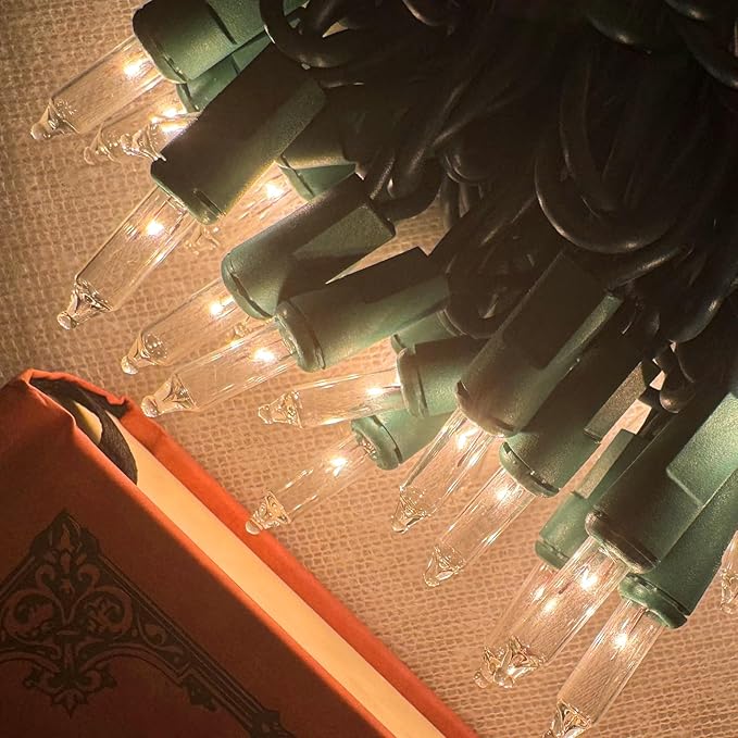 HISHINY Christmas Lights 100 Count Clear Christmas Tree Lights String with Green Wire for Outdoor Indoor Christmas Decorations Wedding Decorations Valentines Day Decor,UL Certified (21feet)