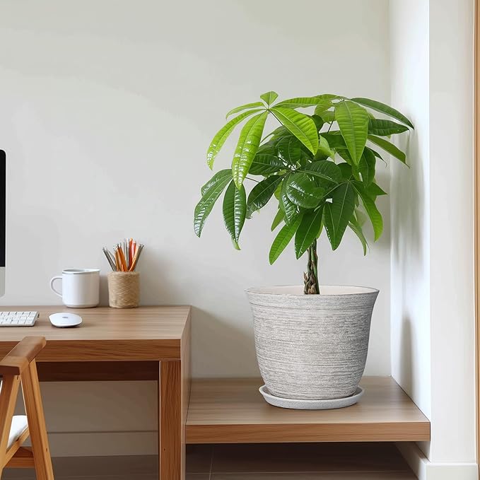 Ceramic Flower Pots - 10 Inch Plant Pot with Drainage Hole and Saucer, Round Planter for Indoor Outdoor, Modern Planters, Large Flower Pot, Home Porch Garden Decor, Plant Lover Gifts, Grey