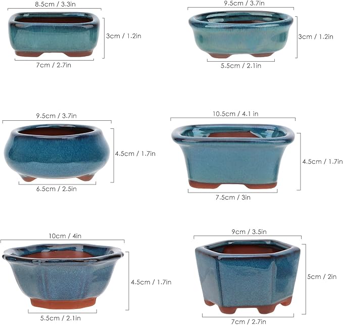 Bonsai Planter 6 pc Mini Glazed Succulent Pots Value Set + 6 Soft Mesh Drainage Screens