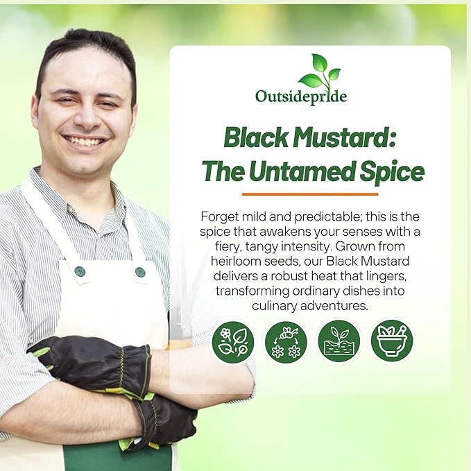 Outsidepride Black Mustard Seeds - 10000 Pcs Nutrient-Rich, Flavorful Annual Microgreen Seeds for Planting, Easy-to-Grow, Ideal for Indoor & Outdoor Cultivation, Soil & Hydroponic Systems
