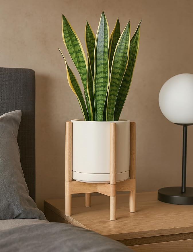 D'vine Dev Ceramic Planter with Natural Stand - 10 Inch Modern Round Flower Pot with Wood Planter Holder, Oatmeal, 55-B-K-8