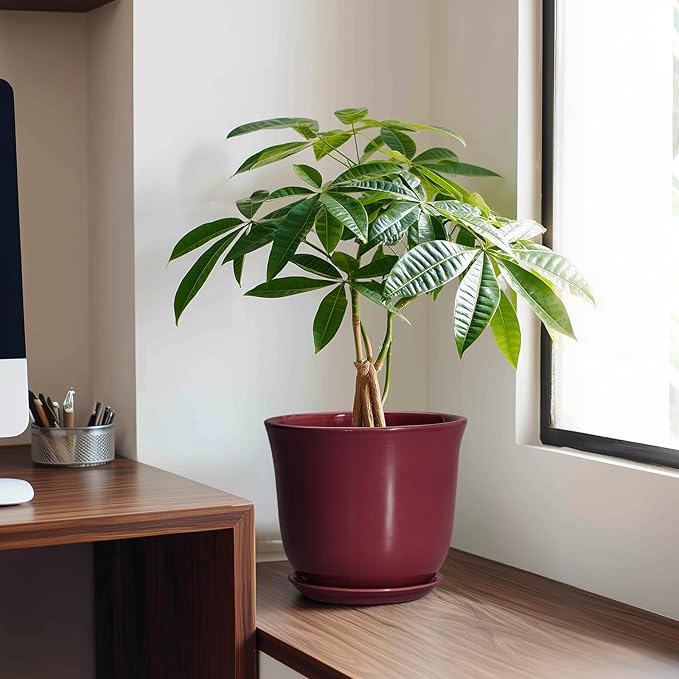 Ceramic Planter - 8 Inch Plant Pot with Drainage Hole and Saucer, Round Planter for Indoor Outdoor, Modern Flower Pots, Porch Garden Home Decor, Gifts for Plant Lovers, Red