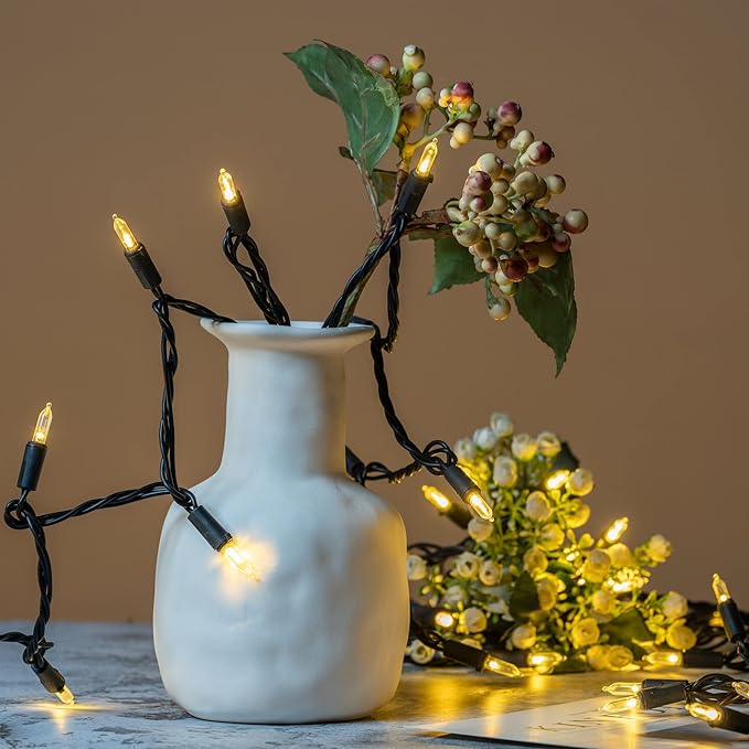 YULETIME 200 Warm White LED Christmas Lights, 66 Feet Black Wire UL Certified Commercial Grade Holiday String Light Set