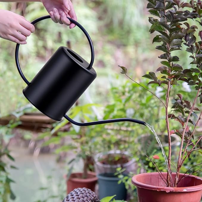 Stainless Steel Black Colored Watering Can 1/2 Gallon 68oz Long Spout Watering Pot for Indoor Plant Watering or Outdoor Gardening with 2Pcs Removable Spray Spout for Flowers