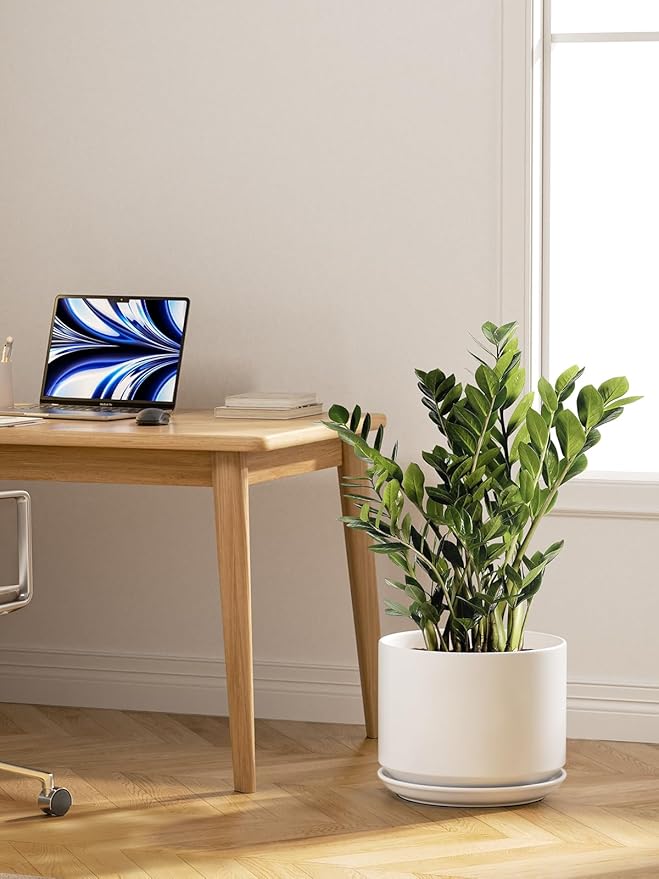 LE TAUCI Ceramic Pots for Plants, Set of 2, 10 + 12 Inch Plant Pot, Durable & Stylish Planters for Indoor Plants with Drainage Hole and Saucer, Elevate Your Home’s Aesthetic, White